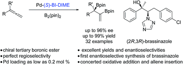 Graphical abstract: Enantioselective palladium-catalyzed diboration of 1,1-disubstituted allenes