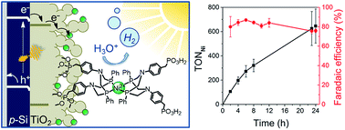 Graphical abstract: Photoelectrocatalytic H2 evolution in water with molecular catalysts immobilised on p-Si via a stabilising mesoporous TiO2 interlayer