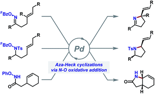 Graphical abstract: Recent developments in the use of aza-Heck cyclizations for the synthesis of chiral N-heterocycles