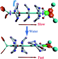 Graphical abstract: The lubricating role of water in the shuttling of rotaxanes