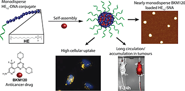 Graphical abstract: Precision spherical nucleic acids for delivery of anticancer drugs