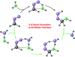 Graphical abstract: Criegee intermediate-hydrogen sulfide chemistry at the air/water interface