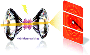 Graphical abstract: Pressure-induced dramatic changes in organic–inorganic halide perovskites