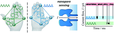 Graphical abstract: Discrimination of supramolecular chirality using a protein nanopore