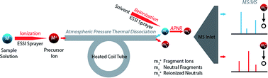 Graphical abstract: Atmospheric pressure neutral reionization mass spectrometry for structural analysis