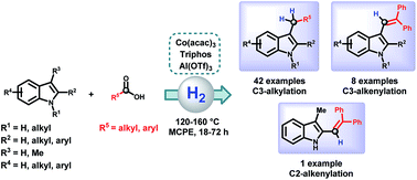 Graphical abstract: Cobalt-catalysed reductive C–H alkylation of indoles using carboxylic acids and molecular hydrogen