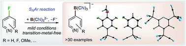 Graphical abstract: Borylation of fluorinated arenes using the boron-centred nucleophile B(CN)32− – a unique entry to aryltricyanoborates