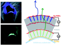 Graphical abstract: Flexible inorganic light emitting diodes based on semiconductor nanowires