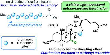 Graphical abstract: Ketones as directing groups in photocatalytic sp3 C–H fluorination