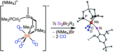 Graphical abstract: Triple bonds of niobium with silicon, germaniun and tin: the tetrylidyne complexes [(κ3-tmps)(CO)2Nb [[triple bond, length as m-dash]] E–R] (E = Si, Ge, Sn; tmps = MeSi(CH2PMe2)3; R = aryl)