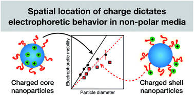 Graphical abstract: Synthesis and electrokinetics of cationic spherical nanoparticles in salt-free non-polar media