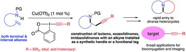 Graphical abstract: Copper-catalyzed aminoalkynylation of alkenes with hypervalent iodine reagents