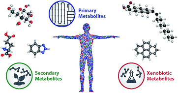Graphical abstract: A structural examination and collision cross section database for over 500 metabolites and xenobiotics using drift tube ion mobility spectrometry