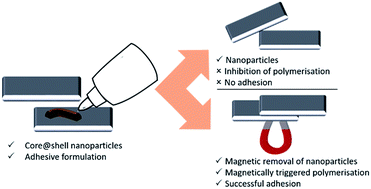 Graphical abstract: Magnetically activated adhesives: towards on-demand magnetic triggering of selected polymerisation reactions