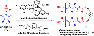 Graphical abstract: Reversible-deactivation anionic alternating ring-opening copolymerization of epoxides and cyclic anhydrides: access to orthogonally functionalizable multiblock aliphatic polyesters