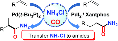 Graphical abstract: Palladium-catalyzed regiodivergent hydroaminocarbonylation of alkenes to primary amides with ammonium chloride