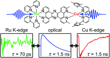 Graphical abstract: Excited state electron and energy relays in supramolecular dinuclear complexes revealed by ultrafast optical and X-ray transient absorption spectroscopy