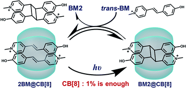 Graphical abstract: Supramolecular catalyst functions in catalytic amount: cucurbit[8]uril accelerates the photodimerization of Brooker’s merocyanine