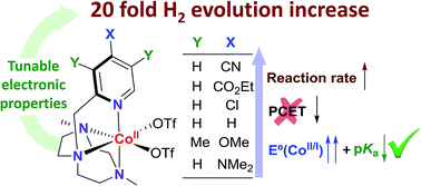 Graphical abstract: Understanding light-driven H2 evolution through the electronic tuning of aminopyridine cobalt complexes