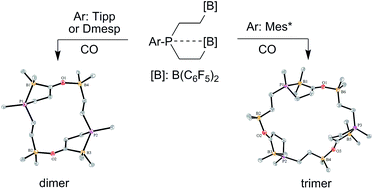 Graphical abstract: Formation of macrocyclic ring systems by carbonylation of trifunctional P/B/B frustrated Lewis pairs