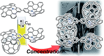 Graphical abstract: Supramolecular assemblies of a nitrogen-embedded buckybowl dimer with C60