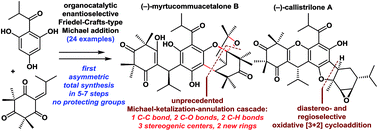 Graphical abstract: Catalytic asymmetric total syntheses of myrtucommuacetalone, myrtucommuacetalone B, and callistrilones A, C, D and E