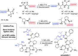 Graphical abstract: Coupling of sterically demanding peptides by β-thiolactone-mediated native chemical ligation