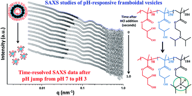 Graphical abstract: Synthesis and pH-responsive dissociation of framboidal ABC triblock copolymer vesicles in aqueous solution