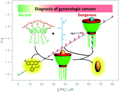 Graphical abstract: Ultrasensitive and specific fluorescence detection of a cancer biomarker via nanomolar binding to a guanidinium-modified calixarene