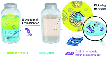 Graphical abstract: Enhancing reaction rate in a Pickering emulsion system with natural magnetotactic bacteria as nanoscale magnetic stirring bars