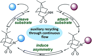 Graphical abstract: Chiral auxiliary recycling in continuous flow: automated recovery and reuse of Oppolzer's sultam
