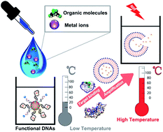 Graphical abstract: Translating molecular detections into a simple temperature test using a target-responsive smart thermometer