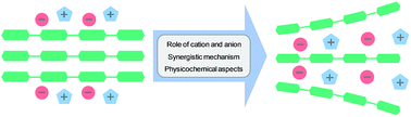 Graphical abstract: Towards a molecular understanding of cellulose dissolution in ionic liquids: anion/cation effect, synergistic mechanism and physicochemical aspects