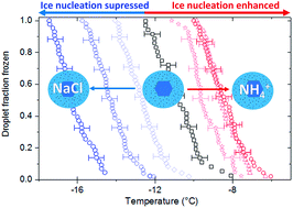Graphical abstract: The enhancement and suppression of immersion mode heterogeneous ice-nucleation by solutes
