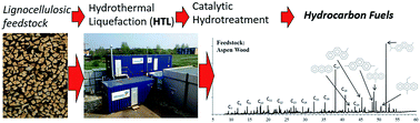 Graphical abstract: Catalytic hydrotreatment of bio-crude produced from the hydrothermal liquefaction of aspen wood: a catalyst screening and parameter optimization study