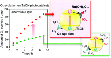 Graphical abstract: Enhanced oxygen evolution on visible light responsive TaON photocatalysts co-loaded with highly active Ru species for IO3− reduction and Co species for water oxidation