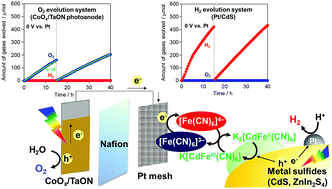 Graphical abstract: Surface-modified metal sulfides as stable H2-evolving photocatalysts in Z-scheme water splitting with a [Fe(CN)6]3−/4− redox mediator under visible-light irradiation