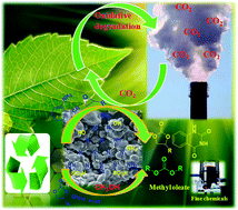 Graphical abstract: A novel method to introduce acidic and basic bi-functional sites in graphitic carbon nitride for sustainable catalysis: cycloaddition, esterification, and transesterification reactions