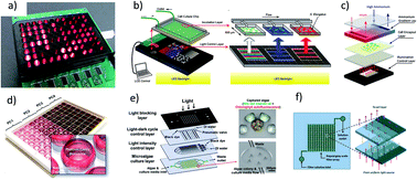 Graphical abstract: Emerging microalgae technology: a review
