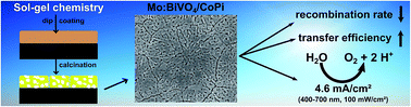 Graphical abstract: Mo-doped BiVO4 thin films – high photoelectrochemical water splitting performance achieved by a tailored structure and morphology