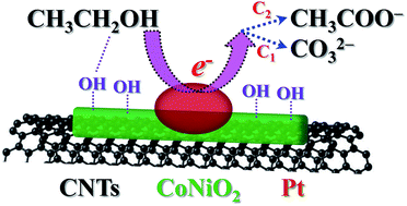 Graphical abstract: A hybrid catalyst of Pt/CoNiO2 on carbon nanotubes and its synergetic effect towards remarkable ethanol electro-oxidation in alkaline media