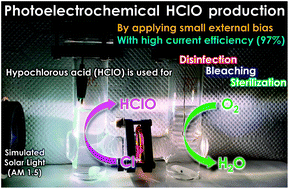Graphical abstract: Efficient hypochlorous acid (HClO) production via photoelectrochemical solar energy conversion using a BiVO4-based photoanode