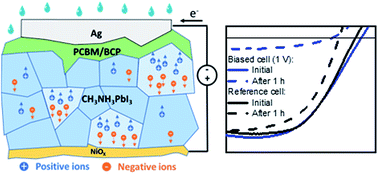 Graphical abstract: Dark electrical bias effects on moisture-induced degradation in inverted lead halide perovskite solar cells measured by using advanced chemical probes