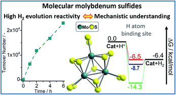 Graphical abstract: Understanding homogeneous hydrogen evolution reactivity and deactivation pathways of molecular molybdenum sulfide catalysts