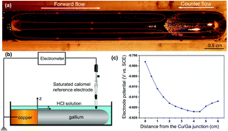 Graphical abstract: Galvanic corrosion couple-induced Marangoni flow of liquid metal