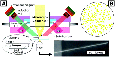 Graphical abstract: Extensive characterization of magnetic microrods observed using optical microscopy