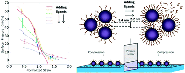 Graphical abstract: The role of ligands in the mechanical properties of Langmuir nanoparticle films