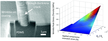 Graphical abstract: Stress-induced surface instabilities and defects in thin films sputter deposited on compliant substrates