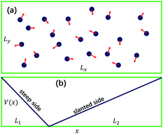 Graphical abstract: Transport of underdamped active particles in ratchet potentials