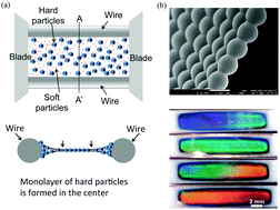 Graphical abstract: Free-standing monolayer films of ordered colloidal particles